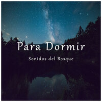 Paz en el Río y Cielo - Forest Sounds & Ruído branco & Sonidos De Truenos y Lluvia