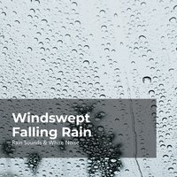 Wind Blast in Rain - Rain Sounds & White Noise & Raindrops Sleep & Sleep Rain