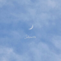 Silhouette of moonlight (with Cello) - Bluna
