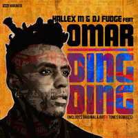 Ding Ding - Hallex M & DJ Fudge