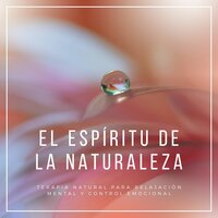 Pluie Son de la nature - Sol De Día