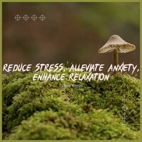 Stress Reduction - Soothing Woodland Ambience - Phillip Woods