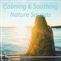Ambient Nature - Soothing Sounds