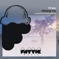 Missing You - Wrigley