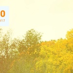 Топ 100 Muzmo сентябрь 2017