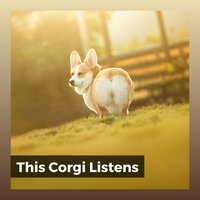 Calm Bulldog Music, Pt. 16 - Sleeping Music For Dogs