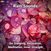 Vitalizing Presence - Rain Sounds For Sleep & Nature Sounds & Rain Sounds