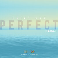 Perfect (Extended) - Saint Dru & V. Rose