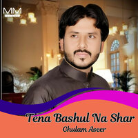 Tena Bashul Na Shar - Ghulam Aseer