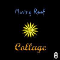 Glue - Moving Reef