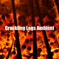 Nature Fire Sound - Fireplace FX Studio