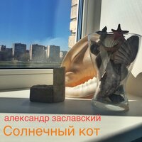 Солнечный кот - Александр Заславский
