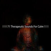 Устье Эмпатии - Meditation Spa