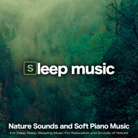 Relaxing Piano Sleep Aid - Sleeping Music & Music for Sleeping Ensemble & Lluvia del Bosque