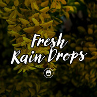 Fountain Noise - Rain Sounds