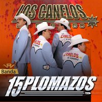 Mario Aguirre - Los Canelos de Durango