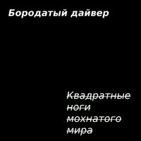 Развлекательно-поучительная - Бородатого дайвера вам в уши
