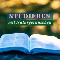 Ein Anderer Tag - Stressfrei Zone