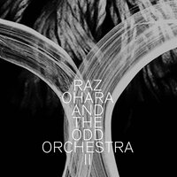 Wildbirds - Raz Ohara & The Odd Orchestra