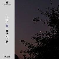Nautical Nature in the Field - Regen Sounds