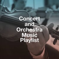 Piano Concerto No. 4 in D Minor, Op. 70: I. Moderato assai - Larissa Shilovskaya & Moscow Philharmonic Orchestra & Alexander Anissimov & Антон Григорьевич Рубинштейн