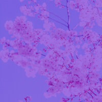 Tranquility (Feelings) - Harp Music Play List