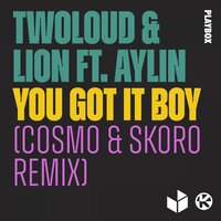You Got It Boy - Lion & twoloud & Cosmo & Skoro & Aylin