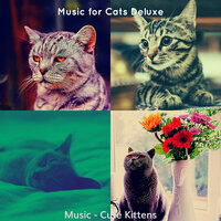 Playful (Relaxing Cats) - Music for Cats Deluxe