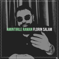 Amintirile Raman - Florin Salam