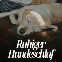 Dante's Distant Dreams - Hundemusik