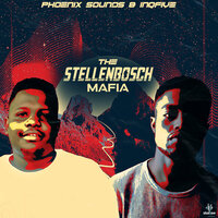 Now or Never - Phoenix Sounds & InQfive