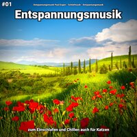 Beruhigende Musik - Entspannungsmusik & Schlafmusik & Entspannungsmusik Paul Esgen