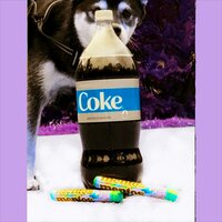 Coke and Mentos - Quincy