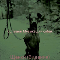 Настроения (Щенки) - большой Музыка для собак