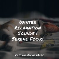 Beauty Drops - Sleep Meditation Dream Catcher & The Sleep Helpers & Academia de Música para Massagem e Relaxamento
