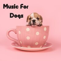 Sweet Dreams Pup - Music for Dogs & Music for Dogs Peace & Relaxing Puppy Music & Calm Pets Music Academy