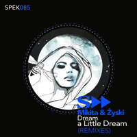 Dream a Little Dream - Mikita & Zyski & VVEEAA
