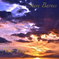 The Meadow - Steve Barnes