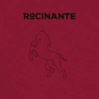 Kill The Lights - Rocinante