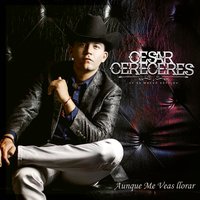 Cortinas Guindas - Cesar Cereceres