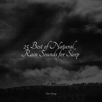 Quiet Bird Song - Sleep Meditation Dream Catcher & Crying & Colic Relief & Deep Sleep Systems