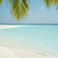 Tropical - Korandrino