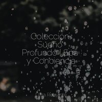 Maravillas Para Dormir - Entrenamiento Autógeno y Meditación Specialistas & Musica Relajante Para Estudiar & Musica para Dormir 101
