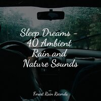 Rolling Forest Rains - Namaste Healing Yoga & Alpha Brain Waves & Spa Relaxation