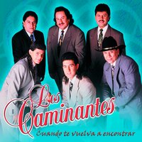 Cuando Te Vuelva a Encontrar - Los Caminantes