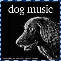 Zen Shores - RelaxMyDog & Dog Music Dreams
