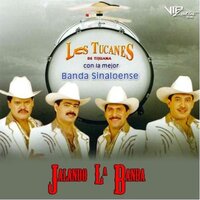 El Agricultor - Los Tucanes De Tijuana