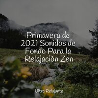 Sentirse Bien - Lluvia PQ & Meditacion & Zona Música Relaxante