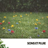 Mélodie de la tombée de la nuit en velours - Cat Music Therapy & Dog Music & Travail Bureau France
