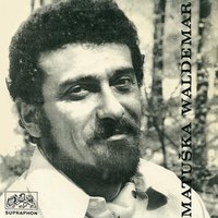 Pondělní blues - Waldemar Matuska